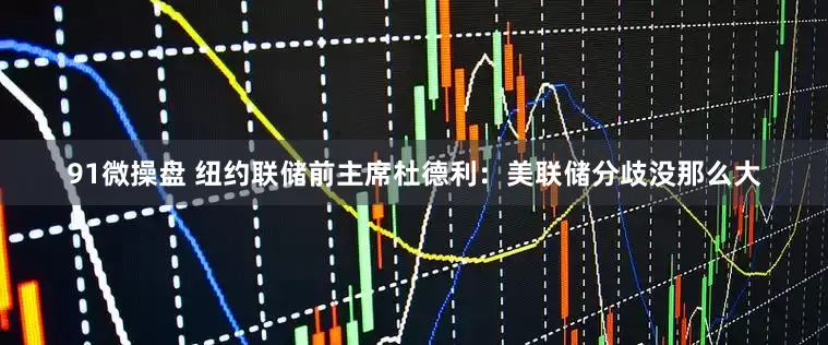 91微操盘 纽约联储前主席杜德利：美联储分歧没那么大
