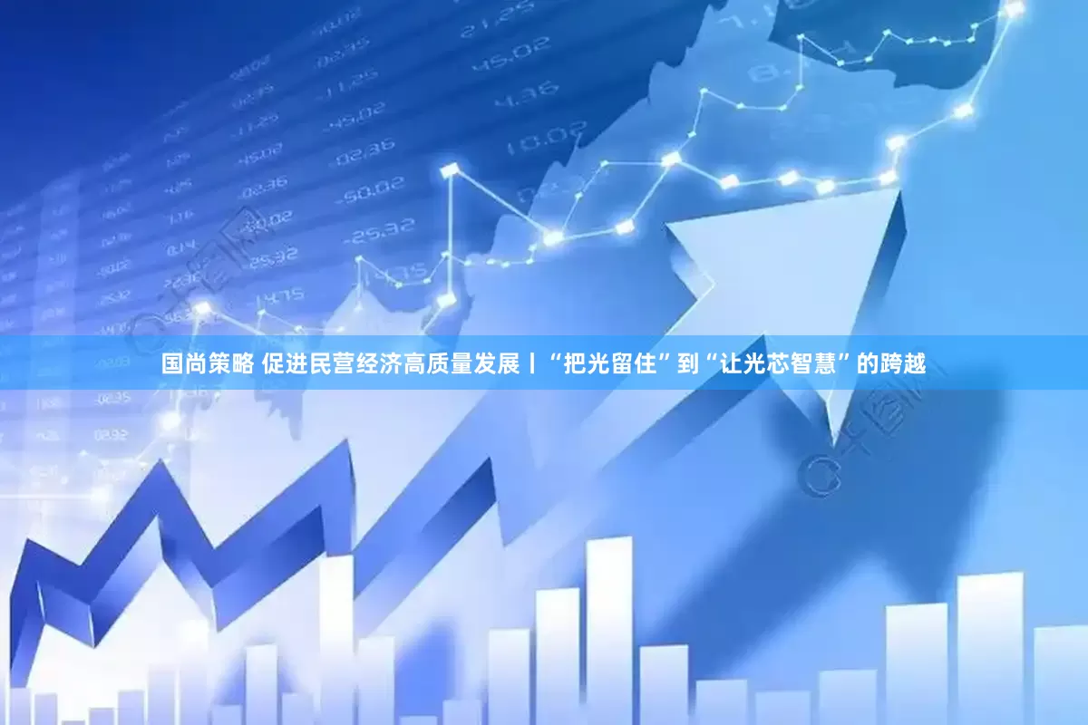 国尚策略 促进民营经济高质量发展丨“把光留住”到“让光芯智慧”的跨越