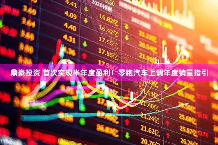 鼎豪投资 首次实现半年度盈利！零跑汽车上调年度销量指引