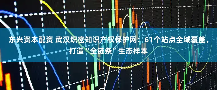 东兴资本配资 武汉织密知识产权保护网：61个站点全域覆盖，打造“全链条”生态样本