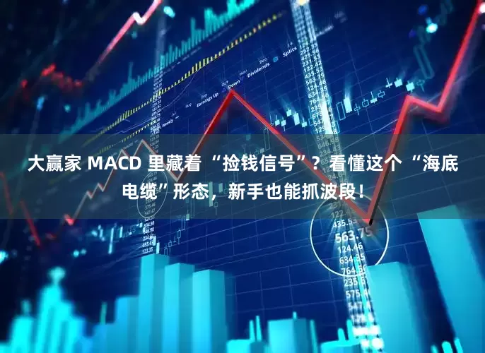 大赢家 MACD 里藏着 “捡钱信号”？看懂这个 “海底电缆”形态，新手也能抓波段！
